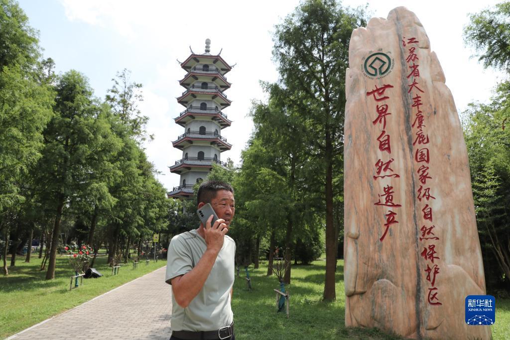 全是破解版游戏的盒子